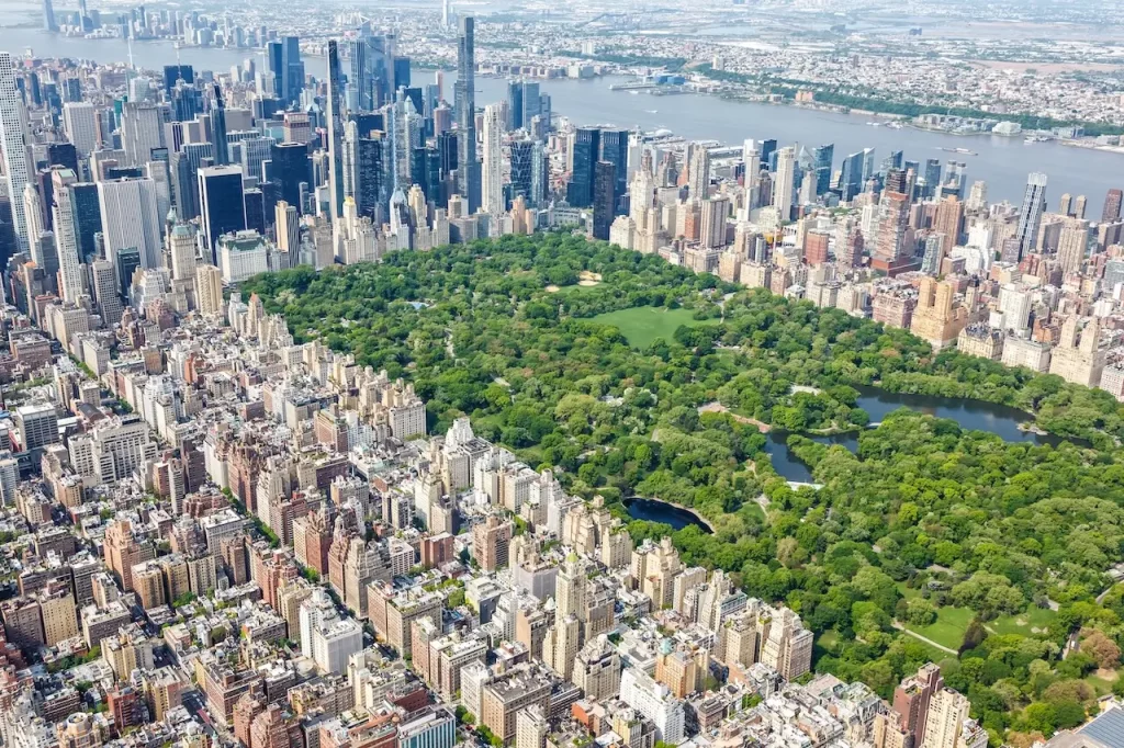 new york city